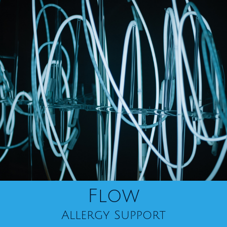 Flow for Allergy Support