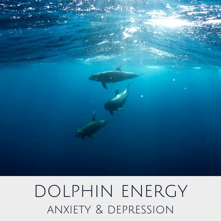 Dolphin Energy for Anxiety & Depression
