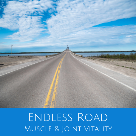 Endless Road for Muscle & Joint Vitality