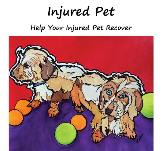 Injured Pet