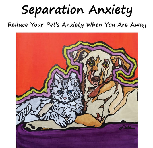 Separation Anxiety for Pets