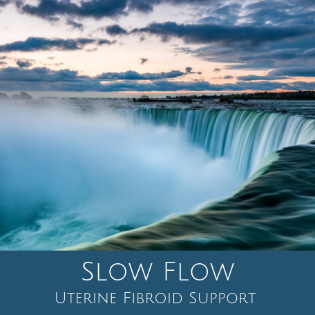 Slow Flow for Uterine Fibroid Support
