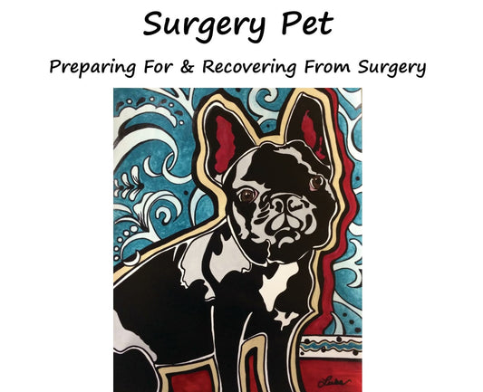 Surgery Pet