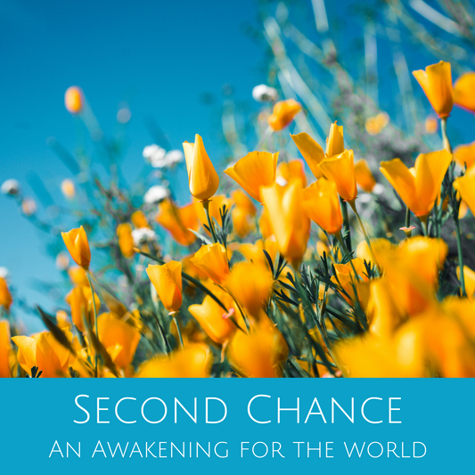 Second Chance - An Awakening for the World